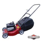 BRIGGS מכסחת דשא ניצן