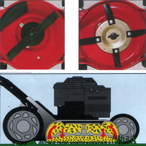 צלחת 4 להבים